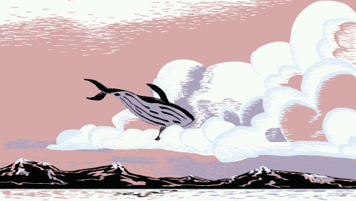 1562991 (a): :2560x1440